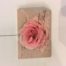 Kärtli klein *Rose*